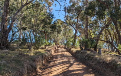 Rifle Butts Road Upgrade