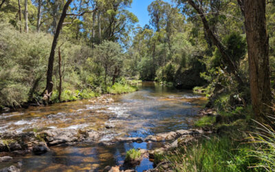 Bendigo Mine Impacted Water Project