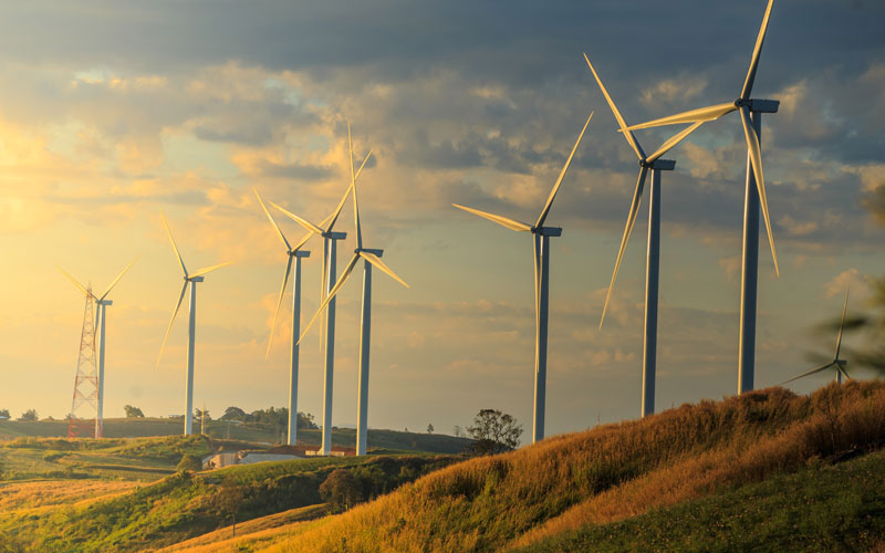 Wind farm monitoring and compliance
